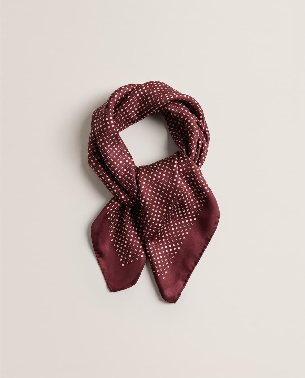Lemna Silk Neckerchief · Burgundy